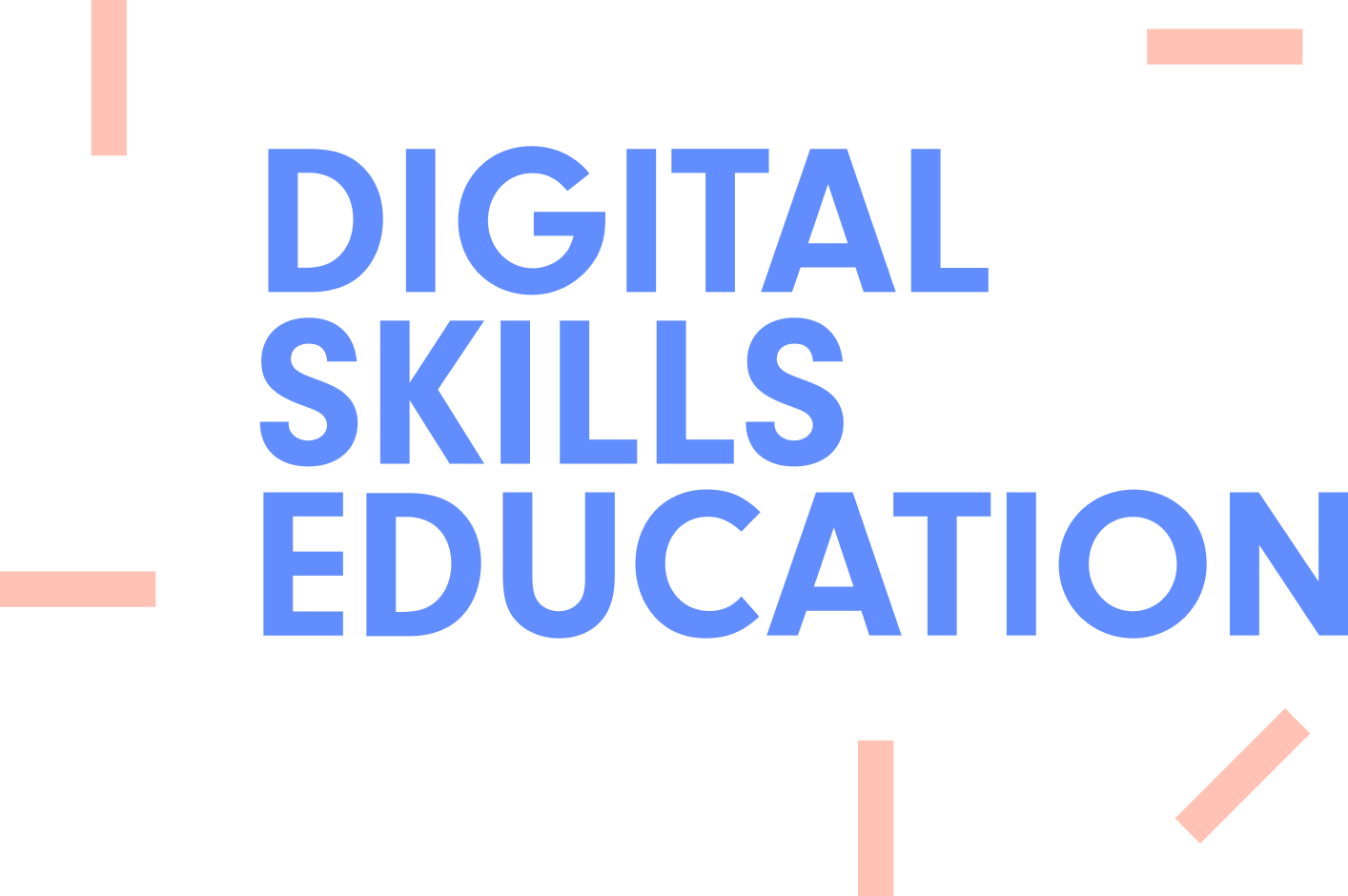 Digital Skills Education